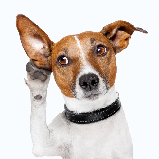 Jack the Terrier - Dog Sticker icon