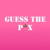 Guess the pix