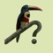 Full-featured birding field guide for Costa Rica