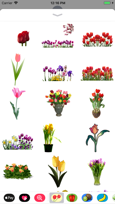 Terrific Tulip Stickers screenshot 3