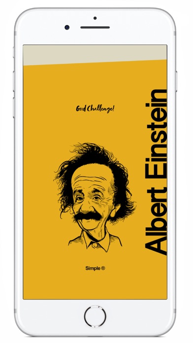 Einstein Challenge screenshot 4
