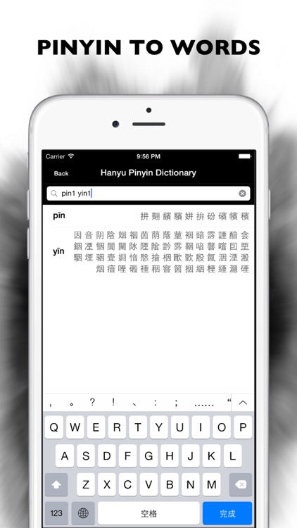 Hanyu Pinyin Dictionary Pro