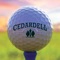 Download the App for Cedardell Golf Club and swing into savings and lots of great offers