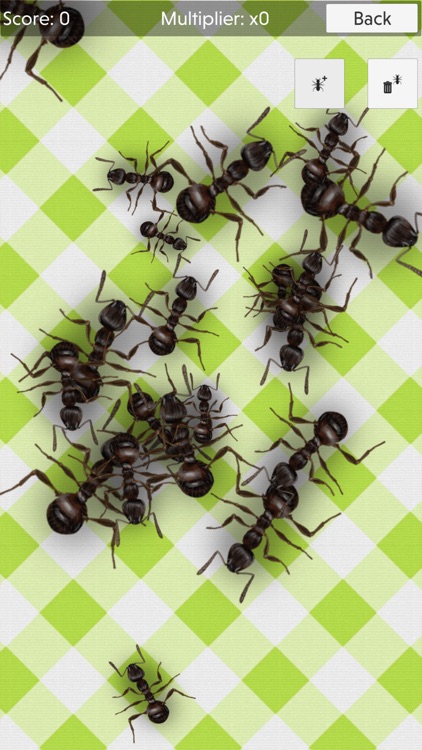 No More Ants - squash them all