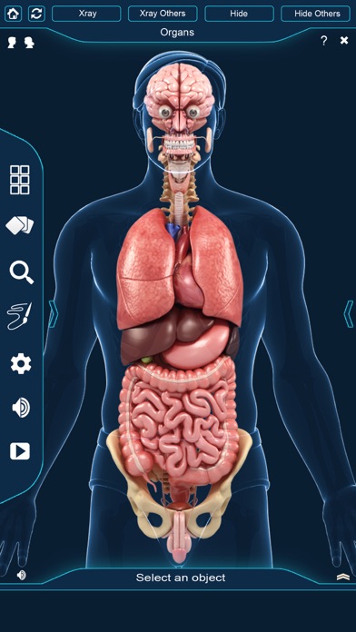 Organs Anatomy screenshot 2