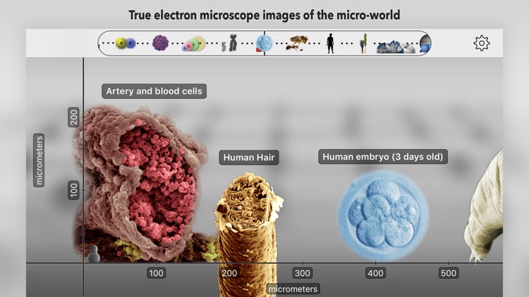 Universal Zoom screenshot-6