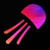Jellyfish - App for nightlife