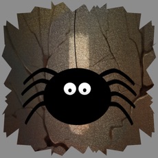 Activities of Spider Cave Game