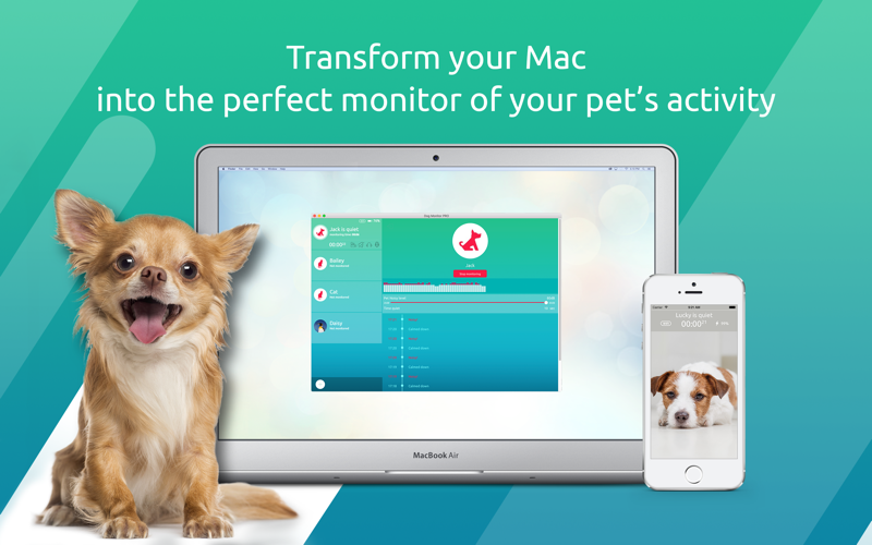 Dog Monitor: Pet Video Camera screenshot 2