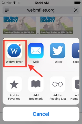 WebM Player Extension screenshot 3