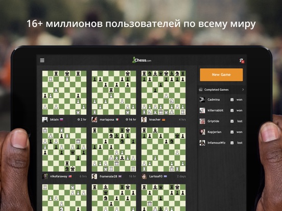 Шахматы - играйте и учитесь для iPad