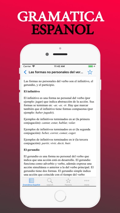 Gramatica Espanol screenshot 4