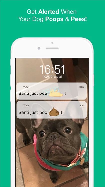 Wag! - Instant Dog Walkers screenshot-8