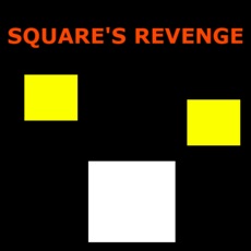 Activities of Square's Revenge Lite