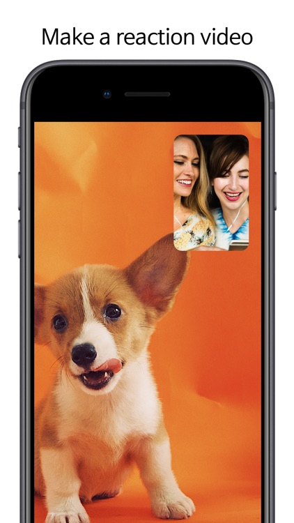 ReacTube: Reaction recorder