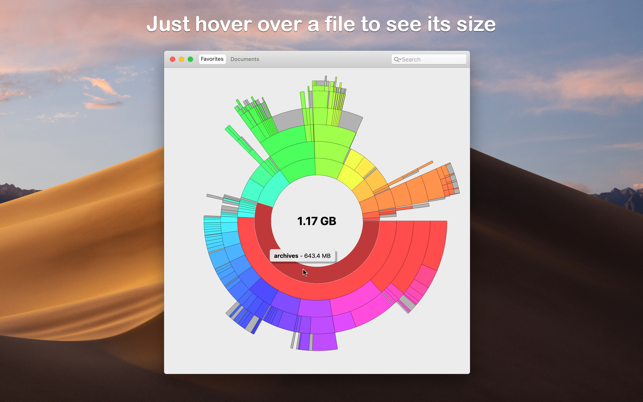 Disk Graph