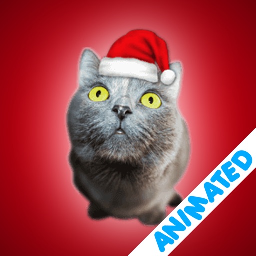 Cute Christmas Cats (animated) iOS App