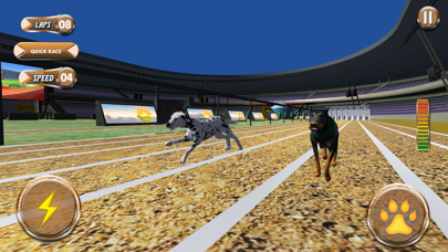 Greyhound Racing Tournament 2 screenshot 1