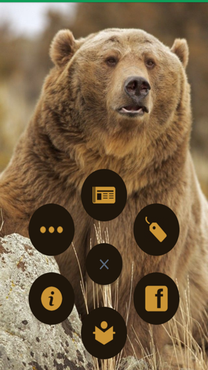 Montana Grizzly Encounter(圖1)-速報App