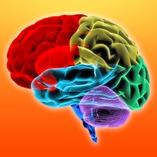 Activities of Brain Aktivity