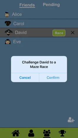 Game screenshot The Maze Race hack