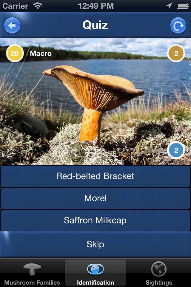 Mushroom Id North America screenshot 3