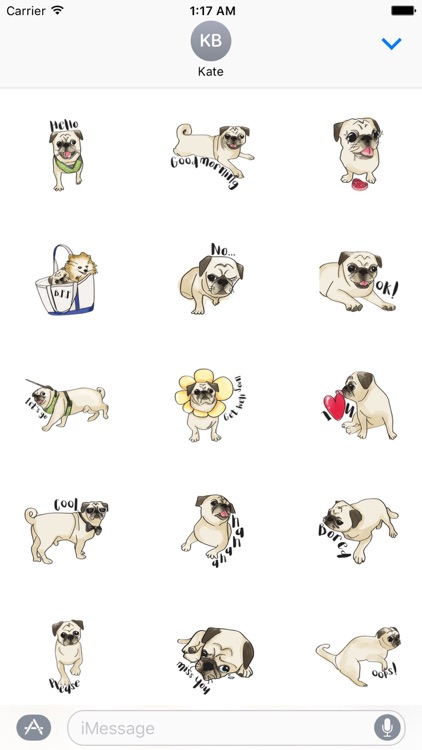 Buzzy Boy a Cute Pug Dog Sticker