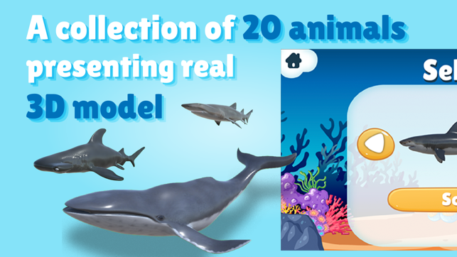 AR Ocean World 3D(圖2)-速報App