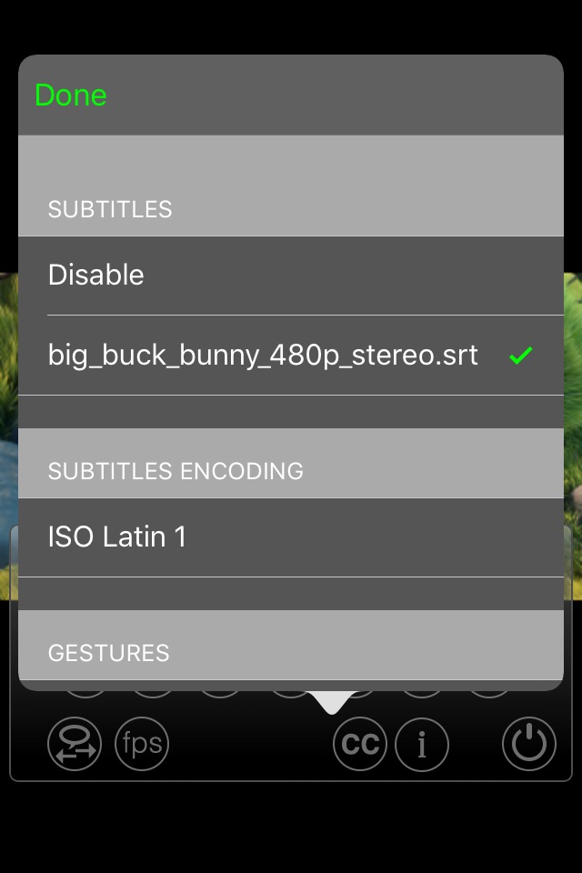Subtitles Player screenshot 3