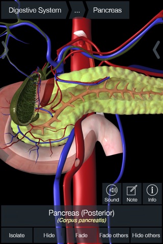 Essential Anatomy 5 screenshot 4