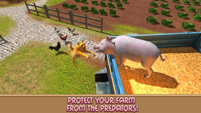 Life of House Pig Simulator(圖2)-速報App