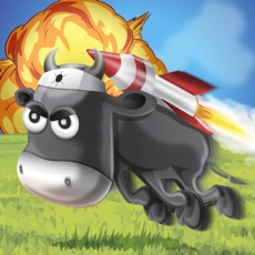 Activities of Rocket Cows