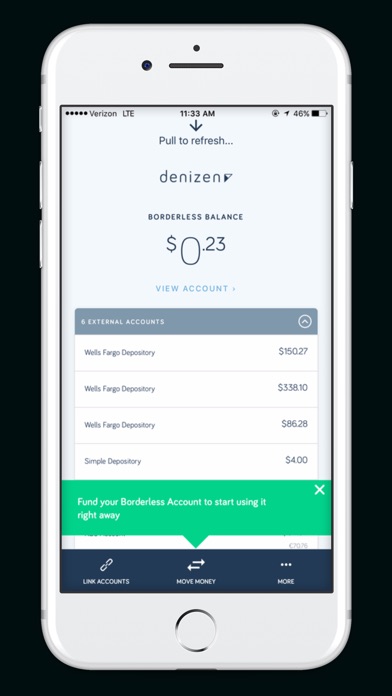 Denizen Financial screenshot 4