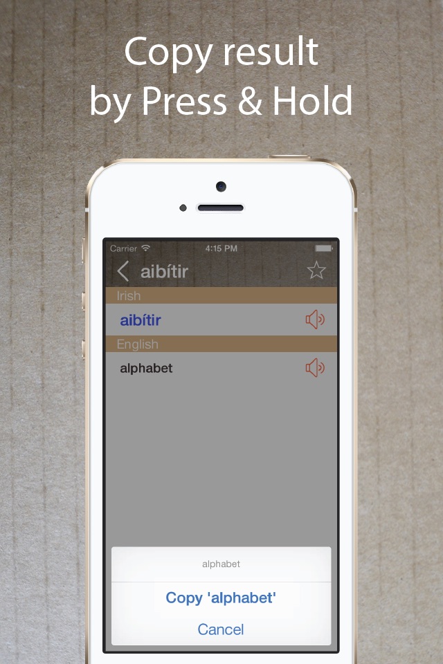 Irish English Dictionary + screenshot 3