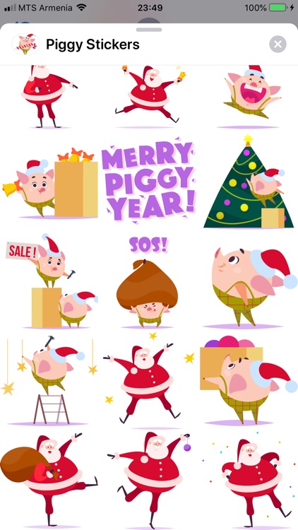 Christmas 2019 Piggy New Year