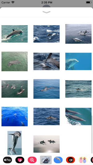 Wild Dolphin Sticker Pack(圖4)-速報App