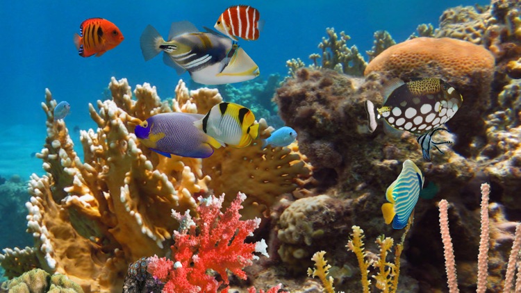 MyReef 3D Aquarium 2 HD