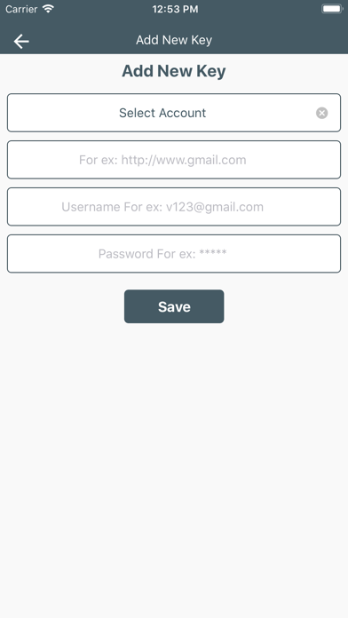 Password Storage Manager screenshot 4