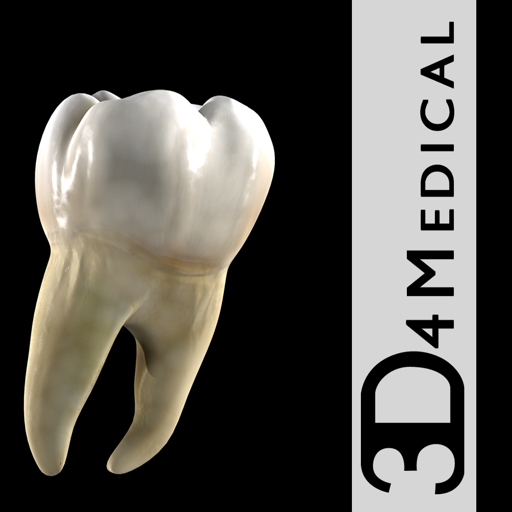 Dental Patient Education icon