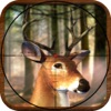 Deer Wild Sniper Shoot