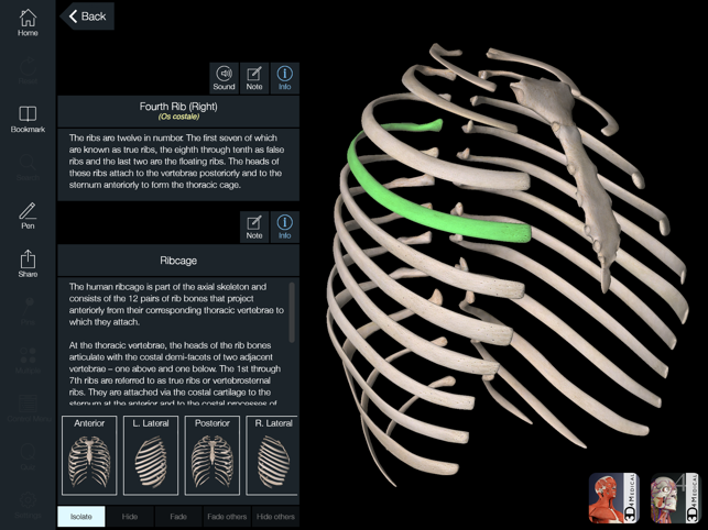 Best 3D Anatomy App In 2020 - Learn From Your Mobile