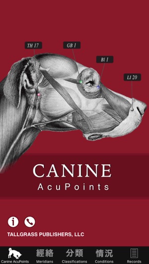 Canine Acupoints(圖1)-速報App