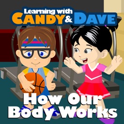 How Our Body Works