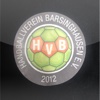 Handballverein Barsinghausen