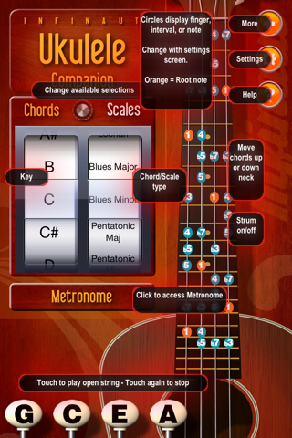 Ukulele Companion screenshot 4