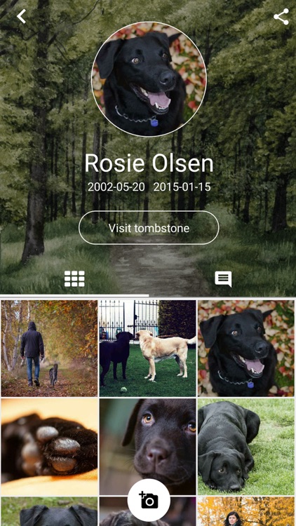 Tombstone screenshot-3