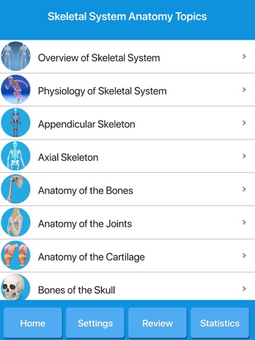 Skeletal System Anatomy screenshot 2