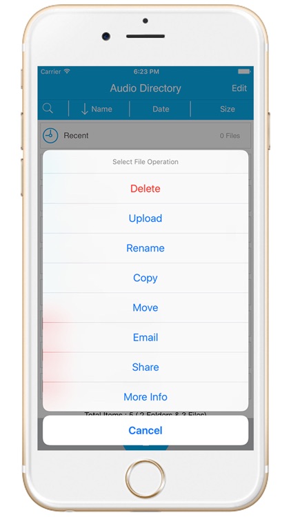 Recorder Pro : Voice Memo