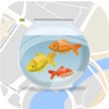 حوض السمك في دبي