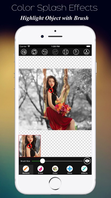 Color Splash Photo Effect